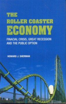 Imagen de archivo de The Roller Coaster Economy a la venta por Books Puddle