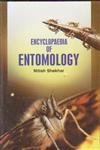 Stock image for Encyclopedia of Entomology (3 Vols. Set) for sale by Mispah books