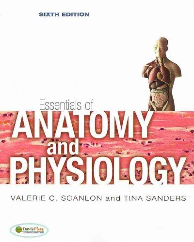 Stock image for Essentials of Anatomy and Physiology Essentials of Anatomy and Physiology for sale by dsmbooks