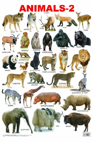 Land Animals Chart