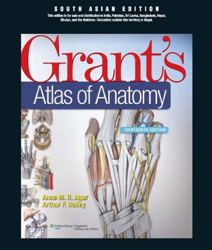 Stock image for Grant's Atlas of Anatomy, 13th Edition [Paperback] for sale by ThriftBooks-Atlanta