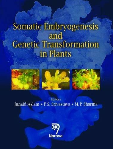 Imagen de archivo de Somatic Embryogenesis and Genetic Transformation in Plants a la venta por Books in my Basket