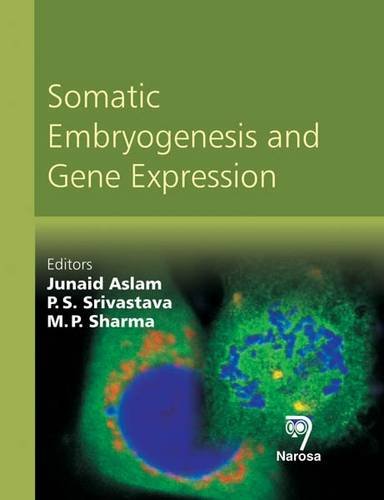 Stock image for Somatic Embryogenesis and Gene Expression for sale by suffolkbooks