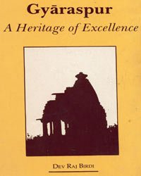 Imagen de archivo de Gyaraspur a la venta por Books Puddle