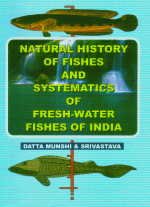 Stock image for Natural History of Fishes and Systematics of Freshwater Fishes of India for sale by Books Puddle