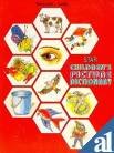 Beispielbild fr Star Children's Picture Dictionary: English-Persian zum Verkauf von Phatpocket Limited