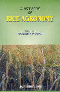 Imagen de archivo de A Text Book of Rice Agronomy a la venta por Books Puddle