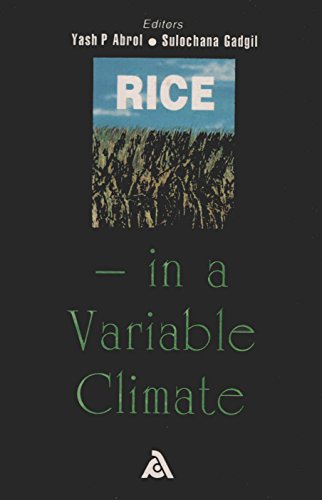 Imagen de archivo de Rice in a Variable Climate a la venta por Books Puddle