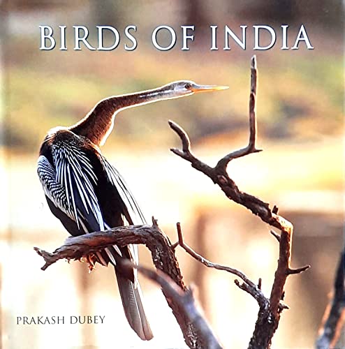9788186634004: India: Images of nature