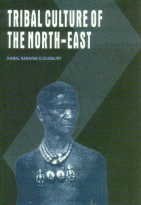 Stock image for Tribal Culture of the North-East for sale by Books Puddle