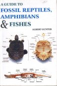 9788187067245: A Guide to Fossil Reptiles, Amphibinas and Fishes [Hardcover]