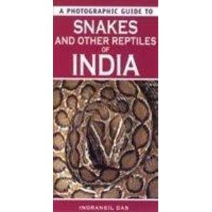 Imagen de archivo de Snakes and Other Reptiles of India (Photographic Guide to) a la venta por GF Books, Inc.