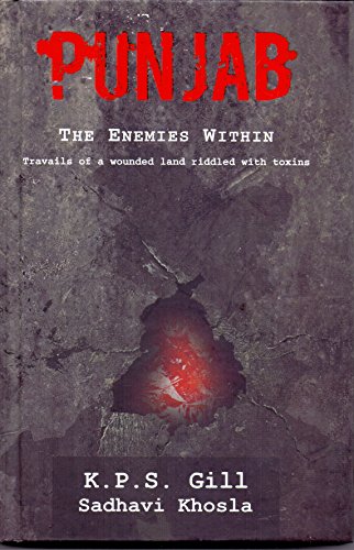 Beispielbild fr Punjab : The Enemies Within zum Verkauf von Books Puddle