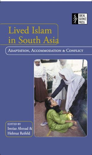 Stock image for Lived Islam in South Asia for sale by Books Puddle