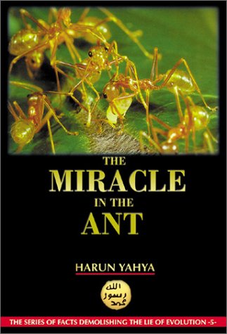 Stock image for The Miracle in the Ant for sale by SecondSale