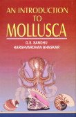 9788187815846: An Introduction to Mollusca
