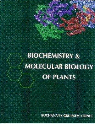 Stock image for Biochemistry & Molecular Biology of Plants for sale by Mispah books