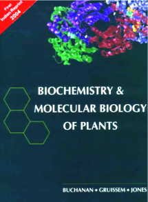 Stock image for Biochemistry and Molecular Biology of Plants for sale by Vedams eBooks (P) Ltd