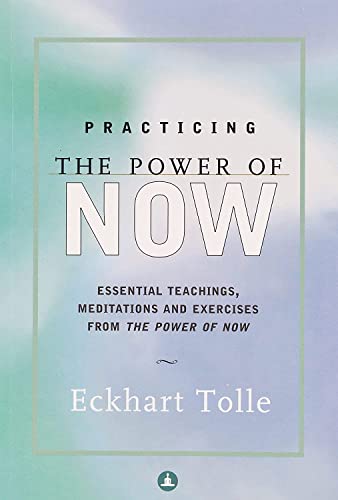 Imagen de archivo de Practicing the Power of Now a la venta por Books Puddle