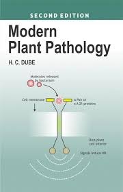 9788188826650: Modern Plant Pathology (PB) [Paperback] [Jan 01, 2017] Dube, H C [Paperback] [Jan 01, 2017] Dube, H C