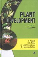 Stock image for Plant Development for sale by dsmbooks