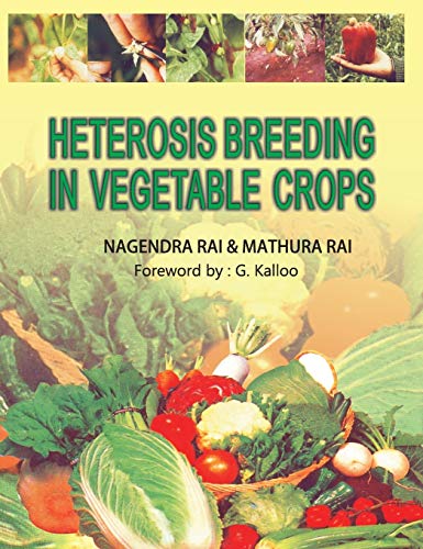 Beispielbild fr Heterosis Breeding in Vegetable Crops zum Verkauf von Buchpark