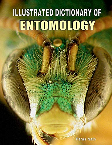 Stock image for Illustrated Dictionary of Entomology for sale by Books Puddle