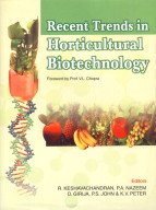 Stock image for Recent Trends in Horticultural Biotechnology (2 Vols-Set) for sale by Vedams eBooks (P) Ltd