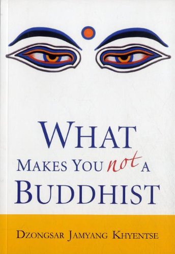 Beispielbild fr What Makes You Not A Buddhist zum Verkauf von SecondSale