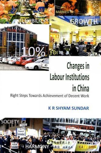 Imagen de archivo de Changes In Labour Institutions In China: Right Steps Towards Achievement Of Decent Work a la venta por Books in my Basket