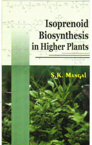 Stock image for Isoprenoid Biosynthesis in Higher Plants for sale by Books Puddle