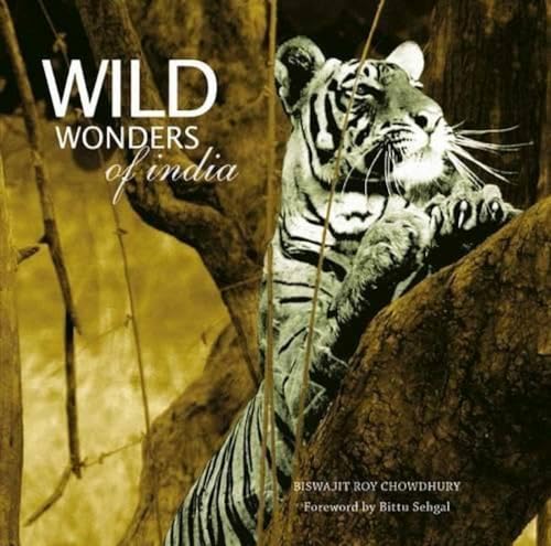 Stock image for Wild Wonders of India for sale by Books Puddle