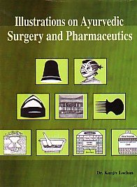 Imagen de archivo de Illustrations on Ayurvedic Surgery and Pharmaceutics a la venta por Books Puddle