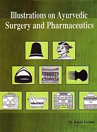 9788189798024: Illustrations On Ayurvedic Surgery And Pharmaceutics