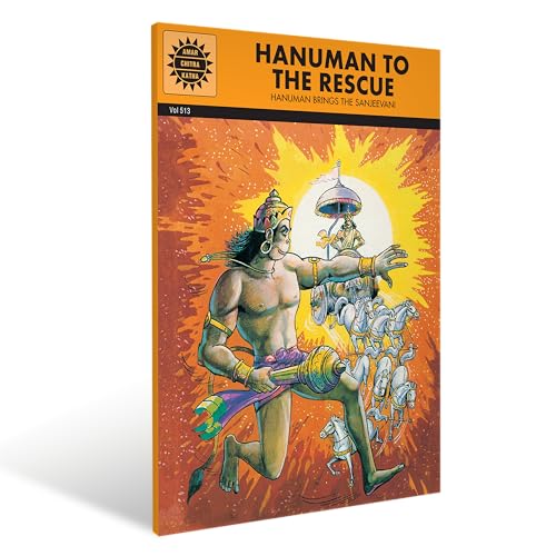 Stock image for Hanuman to the Rescue for sale by Books Puddle