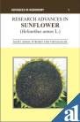 Stock image for Research Advances in Sunflower Hellanthus Annuus L for sale by Vedams eBooks (P) Ltd