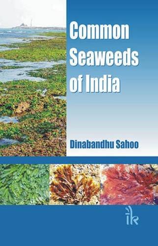 Common Seaweeds of India