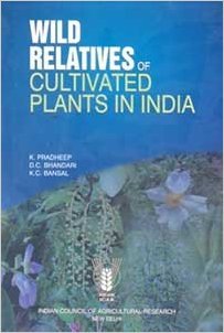 Stock image for Wild Relatives of Cultivated Plants in India for sale by Books Puddle