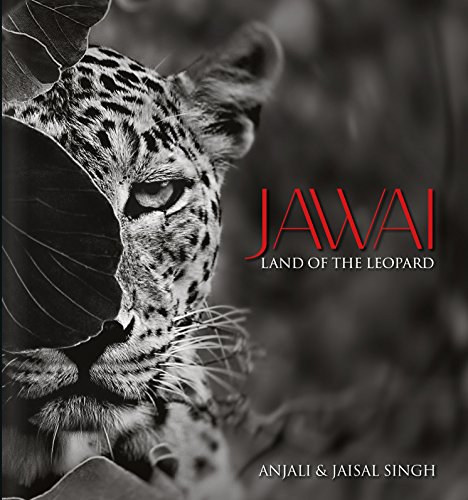 Stock image for Jawai: Land of the Leopard for sale by Books in my Basket