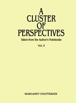 Stock image for A Cluster of Perspectives: Taken from the Author*s Notebooks Vol. 2 for sale by dsmbooks