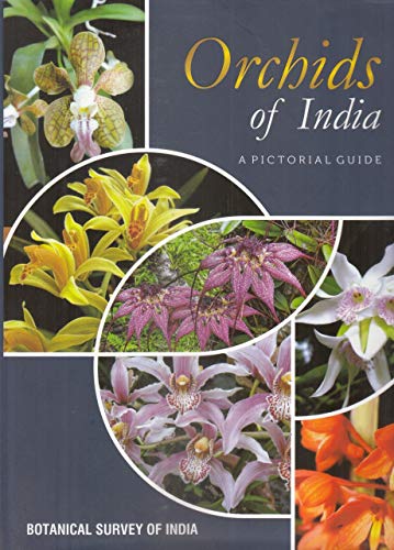 Stock image for Orchids of India: A Pictorial Guide for sale by Vedams eBooks (P) Ltd