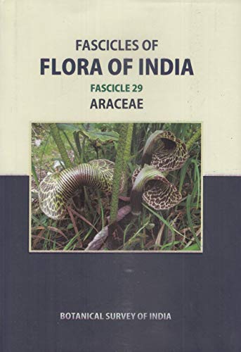 Stock image for Fascicles of Flora of India: Fascicle 29: Araceae for sale by Vedams eBooks (P) Ltd