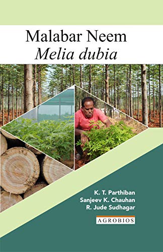 Imagen de archivo de Malabar Neem Melia Dubia a la venta por Vedams eBooks (P) Ltd