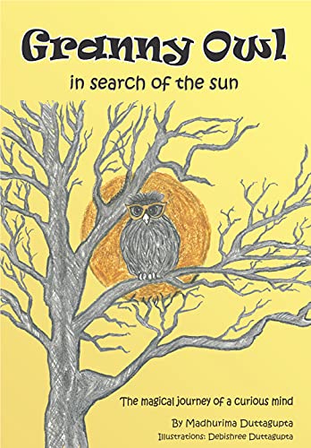 Beispielbild fr GRANNY OWL IN SEARCH OF THE SUN zum Verkauf von Books Puddle