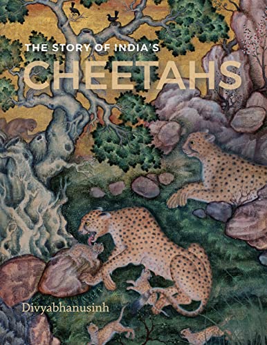 Stock image for The Story of India's Cheetahs for sale by Books in my Basket