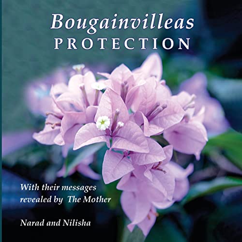 9788195730100: Bougainvilleas PROTECTION: With Their Messages Revealed by The Mother
