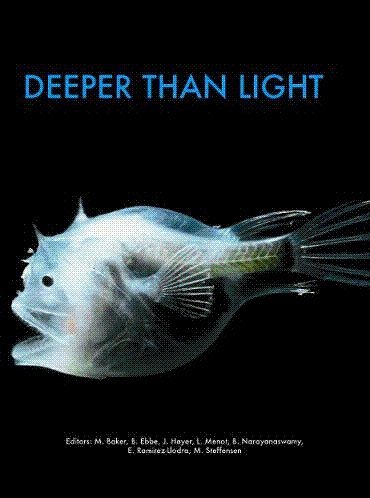 Beispielbild fr Deeper than Light zum Verkauf von WorldofBooks