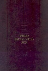 9788301141936: Wielka Encyklopedia PWN Tom 25: Sg - Starmach