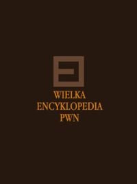 9788301143473: Wielka Encyklopedia PWN Tom 26: Starnawski - sliwy