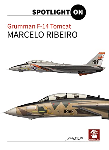 Beispielbild fr Grumman F-14 Tomcat (Spotlight On) zum Verkauf von Books From California